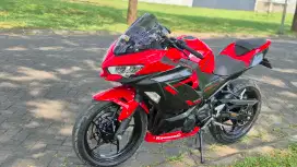 New ninja 250 Abs