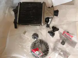 Radiator, tps, isc vario 150