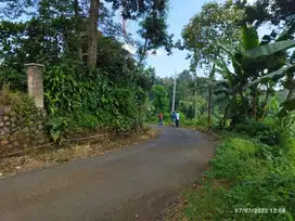 DESA MANGIREJO, WONOSALAM JOMBANG