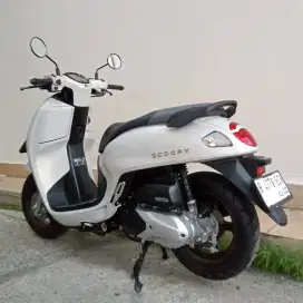 HONDA NEW SCOOPY PRESTIGE TAHUN 2025 CASH / KREDIT MURAH DP MULAI 700