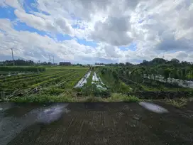 dijual tanah premium lokasi kedungu tabanan