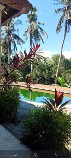 Villa for sale ketewel view jungle dan sunrice