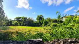 Tanah Zona Pariwisata ocena view karang tinggi  kutuh Bali