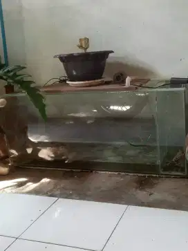 Aquarium 100+40+60