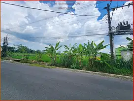 Sambiroto Purwomartani tanah Murah tepi aspal hadap utara