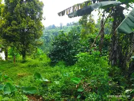 KELURAHAN WONOSALAM, JOMBANG