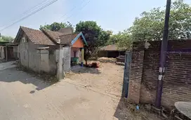 KELURAHAN WRINGIN PITU, KECAMATAN MOJOWARNO JOMBANG