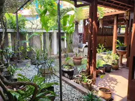 Dijual Rumah Sunter Mas Barat I Blok H8