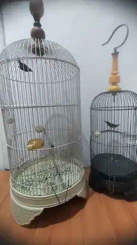 Kandang lb dan holipet