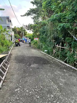 Tanah berawa canggu bali