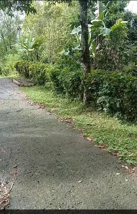 BU... Tanah Kebun buah di Jembrana