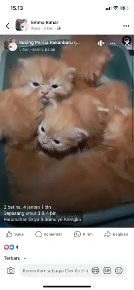 Oyen marbel lahir 29 juni