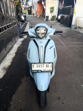 FILANO RASA VESPA