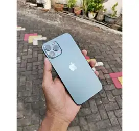 Iphone 12 promax