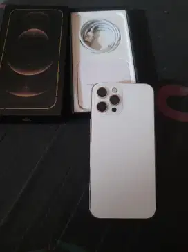 Iphone12 pro max 256 (bisa tt