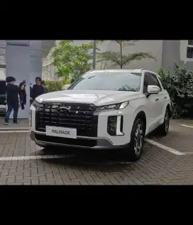 Cari palisade putih 2023 atau 2024 wajib putih