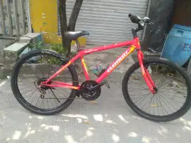 Sepeda MTB elements ring 26.inch