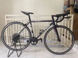 Roadbike Cinelli Vigorelli