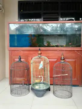 Love bird & 3 kandang