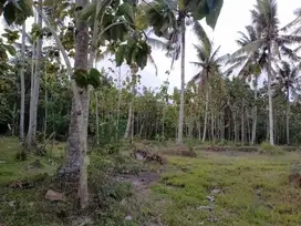 Dijual Lahan luas 83 are (8300m2)