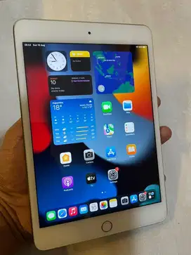 Ipad mini 4 wifi 16gb
