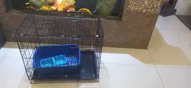 Jual Kandang Burung Eks. Kenari dan Kandang Kucing merk K jumbo 90cm