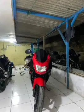 Ninja rr new 2014