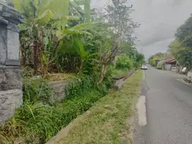 Dijual tanah di yeh embang jembrana, posisi tanah datar pinggir jalan