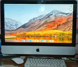 iMac 21.5-inch (1920 x 1070)