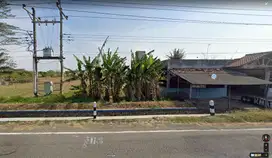 Tanah Sawah di Jual