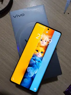 Vivo v29 5g 16/256 like new