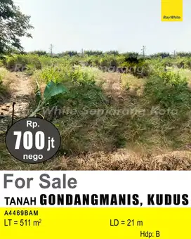DIJUAL TANAH DI GONDANGMANIS KUDUS A4469