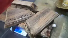 Gaharu malinau sangat kuat aroma.