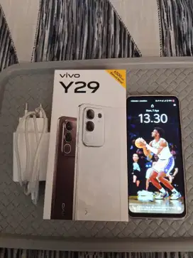 Vivo Y29 Ram 8/128
