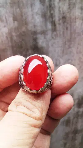 Batu Akik Red Raflesia Natural