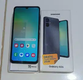SAMSUNG GALAXY A06 4/64 (mulus)