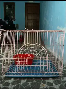 Kandang Kucing bagus