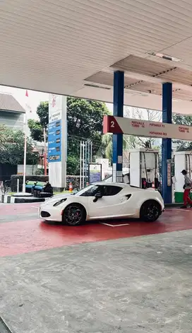 Alfa Romeo 4C (Ultra Rare Super Car)