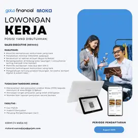 Sales Executive for MOKAPOS