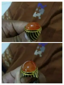cincin batu rafflesia
