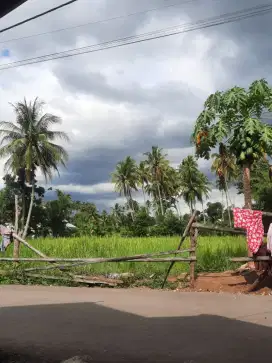Jasa driver motor buat wisata sehari di bali