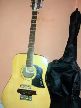 Gitar Yamaha tanbes