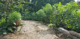 Dijual tanah + tanaman + kandang ayam petelor