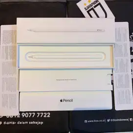Apple Pencil (2nd generation) Normal 100%