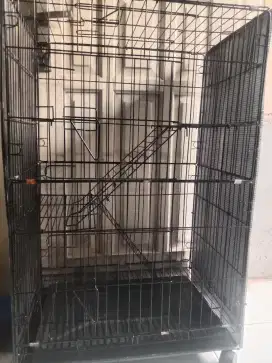 Kandang kucing tingkat