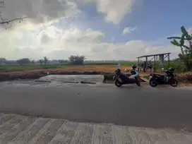 Tanah kavling strategis diSukoanyar Pakis Malang 0 aspal dijual Murah