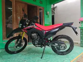 Honda CRF 150 2024