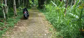 tanah sewa view gunung  dan sawah cocok untuk vila