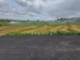 Tanah Kavling Buduk Mengwi Badung Bali