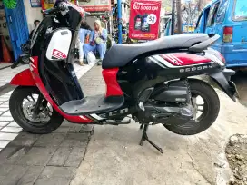 Honda scoopy sporty 2023